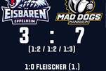  Eisbären zahlen Lehrgeld